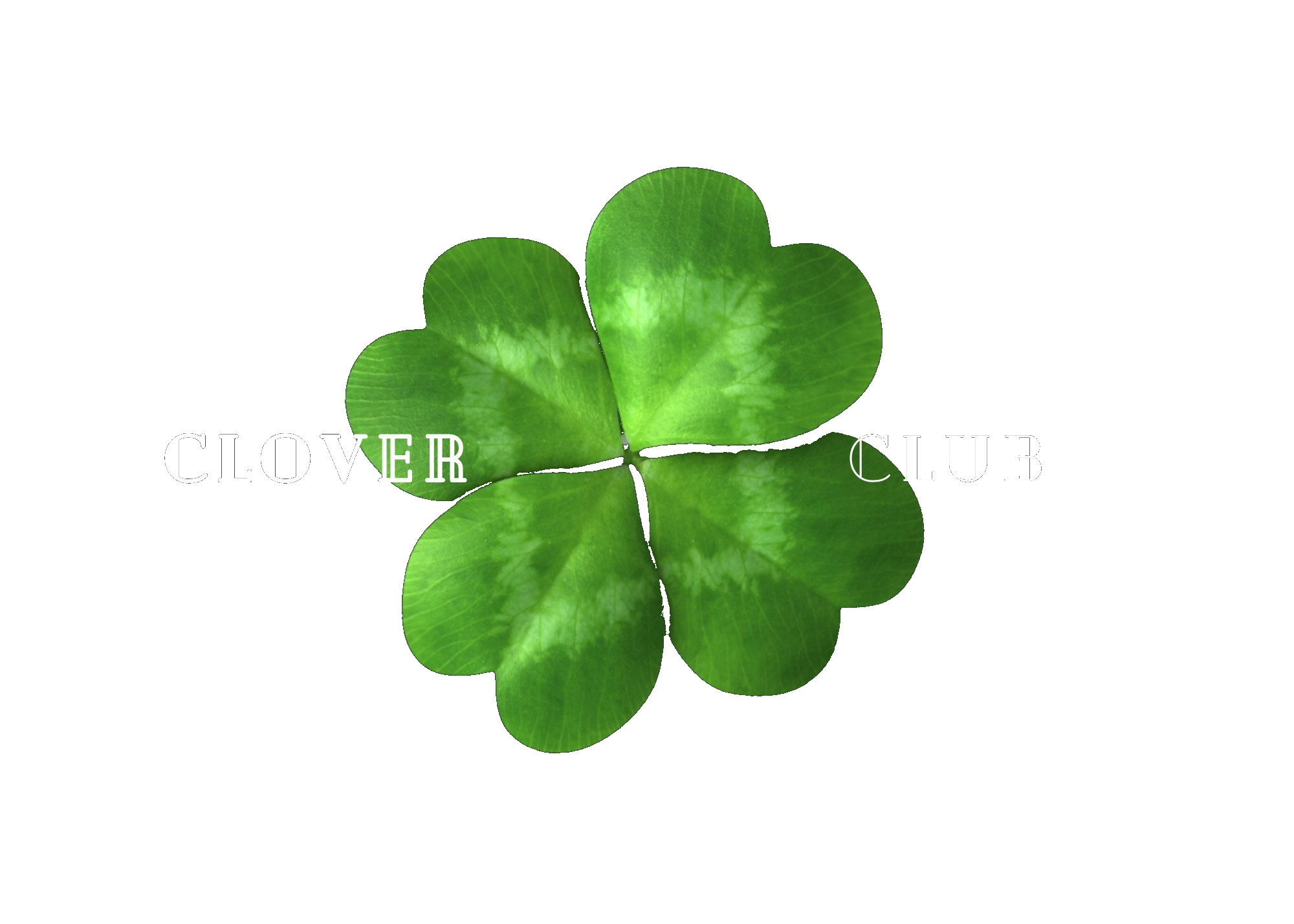 CloverClubHTX